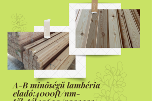 Lambéria 16mmx96mmx4méter